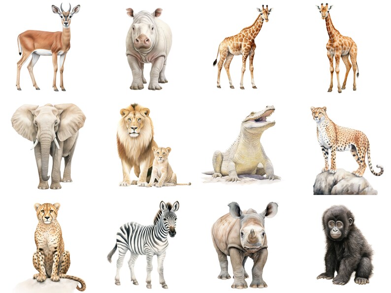 Clipart animali Safari - Clipart acquerello per uso commerciale - Pacchetto clip art animali Safari africani - File PNG - Leone Elefante Zebra immagine 3