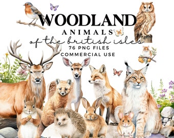 Clipart animaux de la forêt - aquarelle animaux de la forêt PNGs - Clipart de chambre d'enfant - faune britannique - renard, lapin, hibou, cerf, blaireau, hérisson