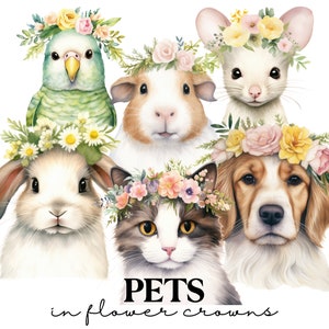 Aquarell Haustiere in Blumenkronen Clipart - süßes Tiergesicht Clip Art Bundle für kommerzielle Nutzung - Boho Kinderzimmer Kunst - Baby Shower Invite Art