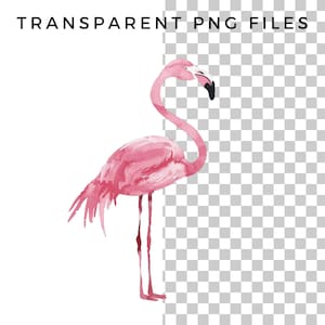 May include: A pink watercolor flamingo illustration with a black beak. The flamingo is standing on one leg with its neck curved.
