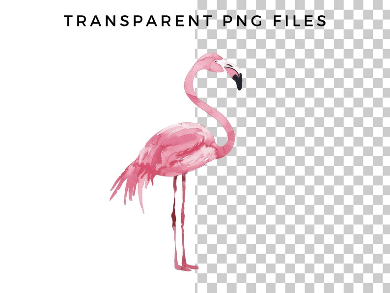 May include: A pink watercolor flamingo illustration with a black beak. The flamingo is standing on one leg with its neck curved.