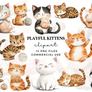 Ludique chatons Clipart PNG - Clipart de chats de dessin animé mignon - Clipart drôle de chaton - graphiques pour amoureux des chats - usage Commercial - Sublimation de chat