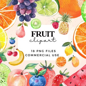 Clipart de frutas PNG - Pacote de clipart de frutas em aquarela fofo - PNGs transparentes para uso comercial
