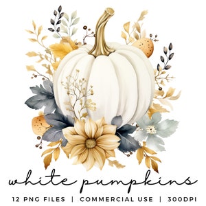 White Pumpkin Clipart- Watercolour Clipart for Fall - Autumn Clip Art - Thanksgiving - Commercial Use PNG & JPEG