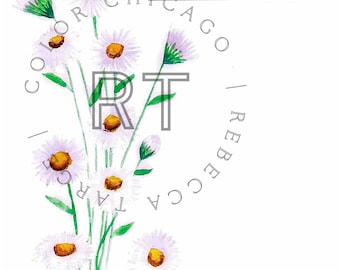 Gänseblümchen-Flohkraut-Aquarell