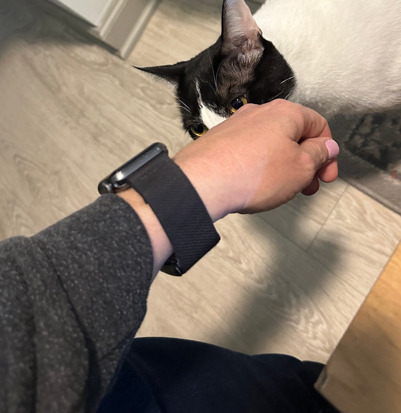 WHOOP STRAP 5.0 SUPERKNIT BAND OBSIDIAN