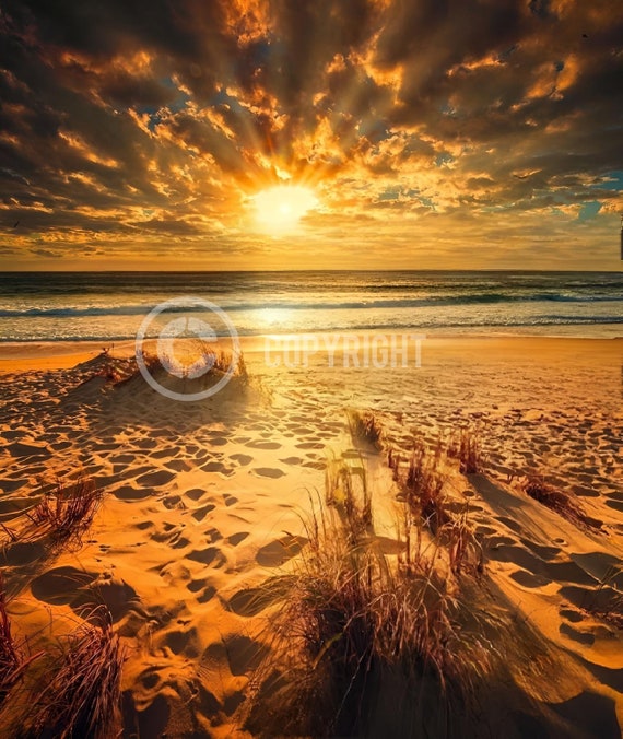 Summers Embrace