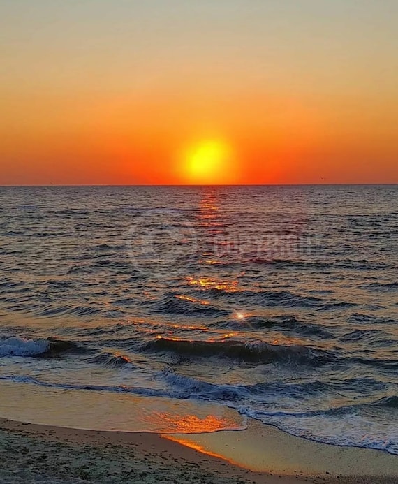 Ocean Dreams