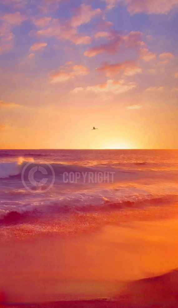Serenity