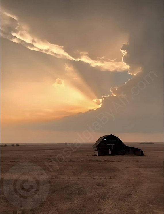 Farmer's Past