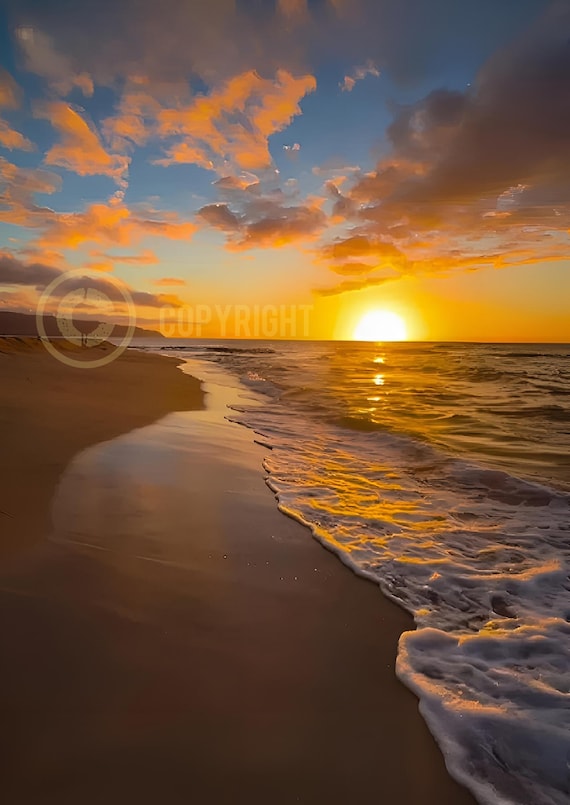 Oceans Promise