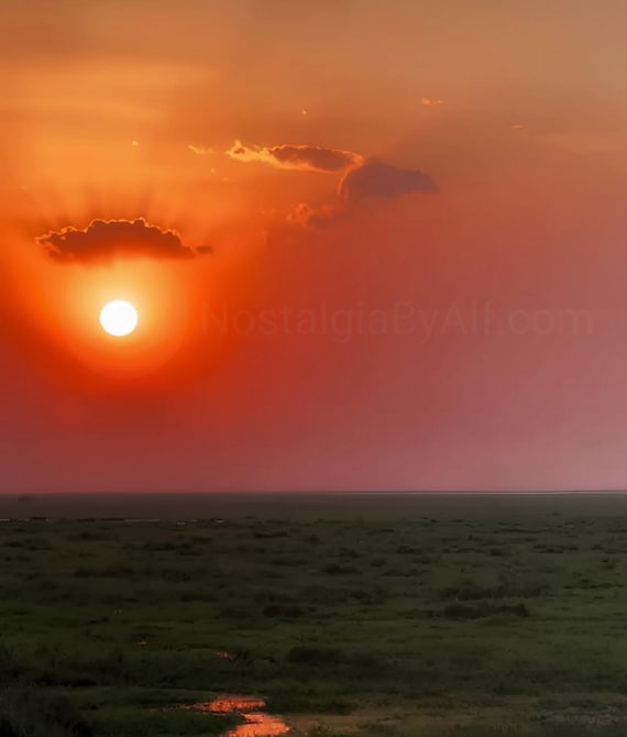 New Horizon
