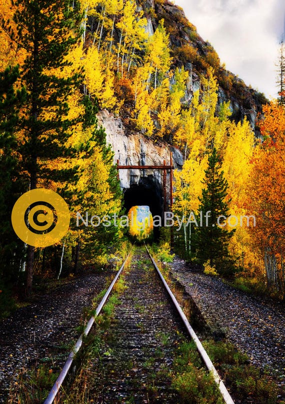 Autumn Renewed
