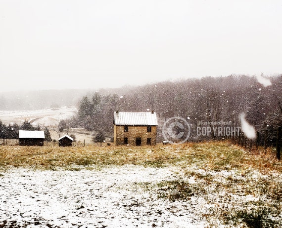 Hillside Wonderland