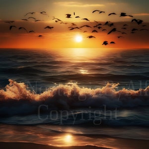 Summers Freedom