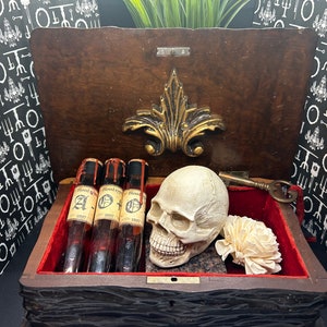 Oddity and Curiosity Box