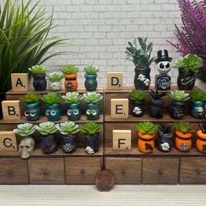 May include: A set of 18 miniature Halloween-themed succulent planters. The planters are arranged on a wooden shelf with drawers. The planters are decorated with various Halloween motifs, including ghosts, spiders, and pumpkins. The planters are filled with green succulents.