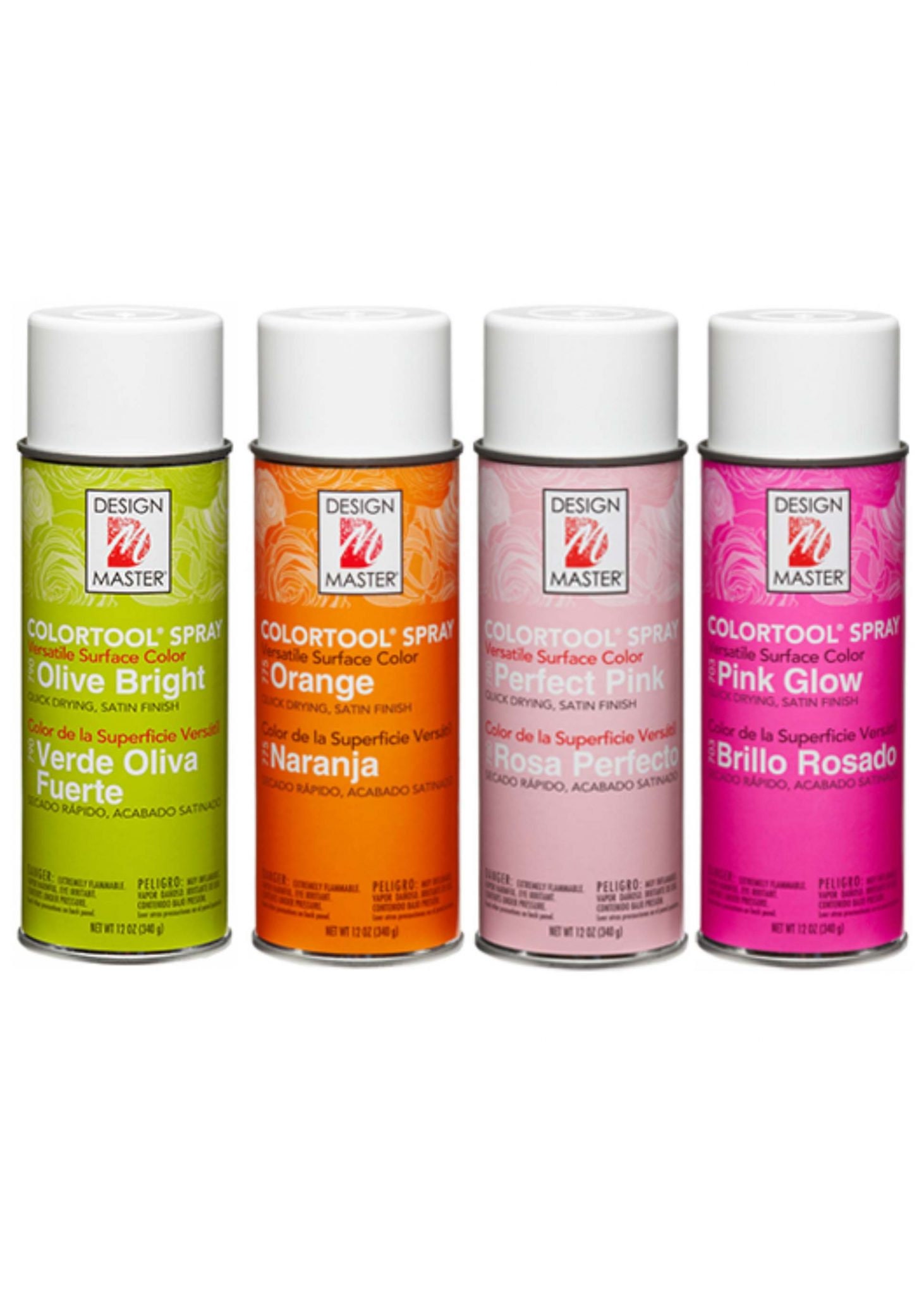 Raspberry Design Master Colortool Floral Spray Paint