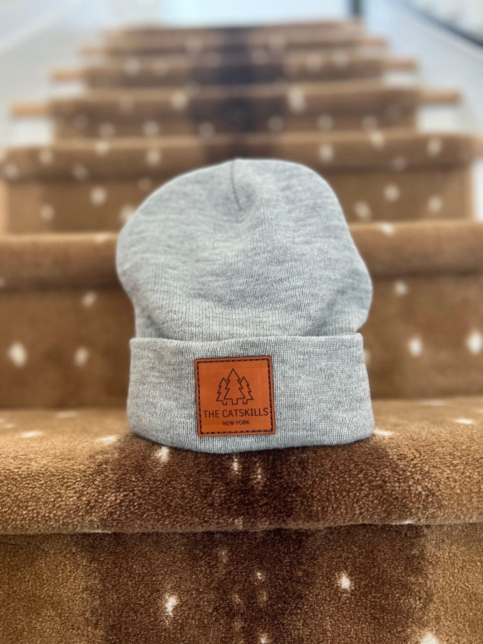 Catskills Beanie