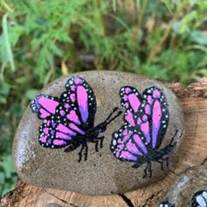Hand-Painted Butterfly Rocks
