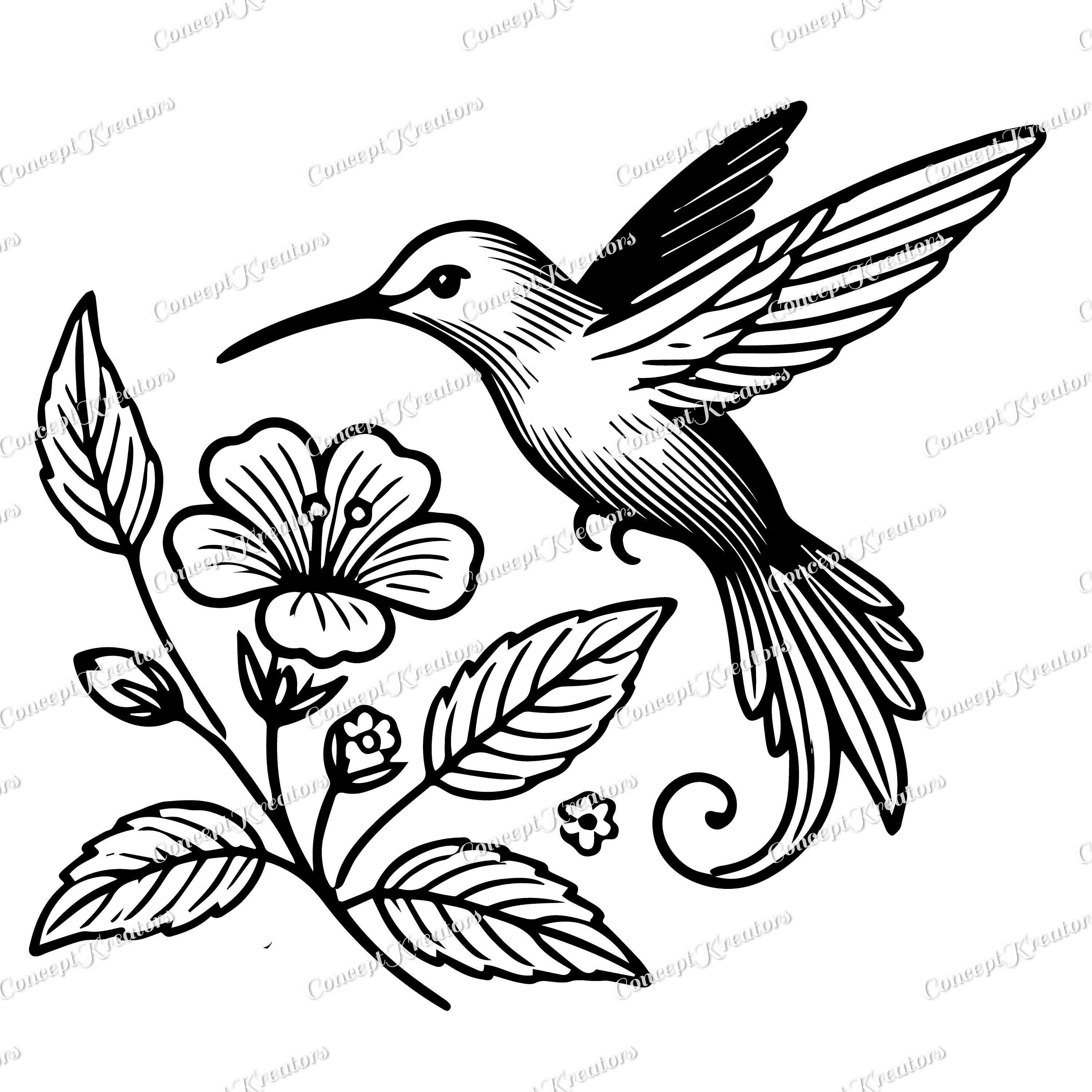 Colibi Svg Hermoso colibrí SVG/ ColibrívPng / Bird Svg / Cricut Cut file ...