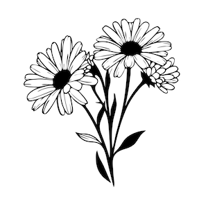 Daisy SVG Bundle Daisy Png, Daisy Dxf, Daisy Eps Files Included Perfect for Cricut, Silhouette, Crafts, and More image 1