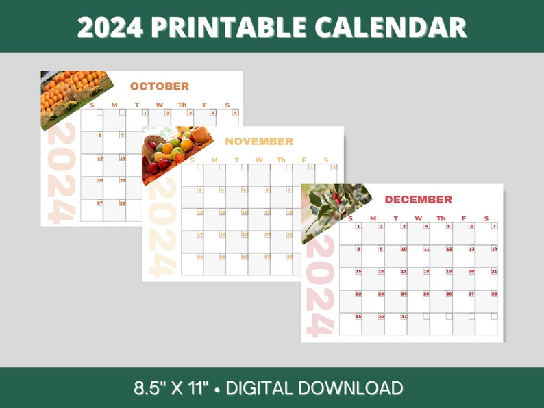 2024 Printable Calendar Instant Download 12 Months of Pleasant Photos 8.5 x 11 PDF image 4