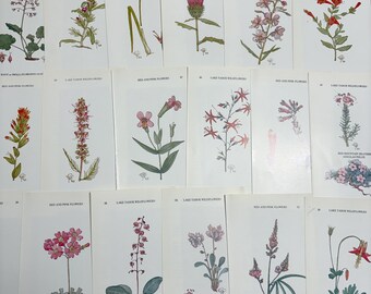Vintage Yello Wildblumen Buch Seiten - Ephemera Papier Pack - Collage Junk Journal Dekor Scrap Craft