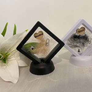 Custom Floating Frame Box Holder Display Stand Pet Memorial Fur Keepsake Personalised Remembrance Dog Cat Rainbow Bridge Gift Engraved Charm
