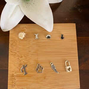 Puede incluir: Un conjunto de siete dijes de plata sobre un fondo de madera. Los dijes incluyen una huella de pata, un candado en forma de coraz&oacute;n, un ala, una letra T, un gato, un conejito y una huella de pata con un cristal.