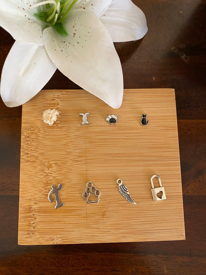 Puede incluir: Un conjunto de siete dijes de plata sobre un fondo de madera. Los dijes incluyen una huella de pata, un candado en forma de coraz&oacute;n, un ala, una letra T, un gato, un conejito y una huella de pata con un cristal.