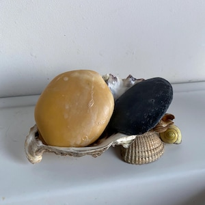 sea-inspired soap dish, clam shell oyster shell soap dish or trinket dish, real shells handmade