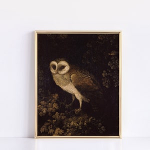 An Owl c. 1780-1790 | Moses Haughton Wall Art | Vintage Owl Printable | Vintage Bird Art | Gothic Aesthetic Home Decor | Fine Art Academia