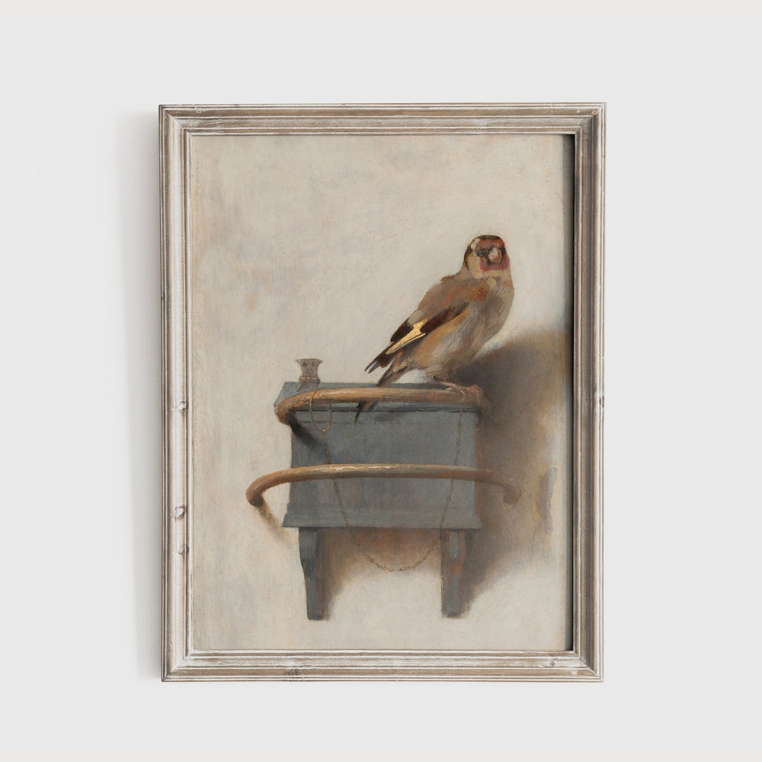 The Goldfinch C. 1654 | Carel Fabritius Wall Art | Vintage Finch Print ...