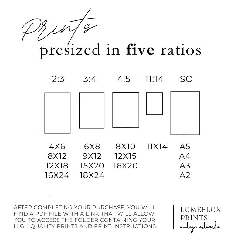 K&ouml;nnte beinhalten: Wei&szlig;es Grafikdesign mit dem Text "Prints presized in five ratios" und Gr&ouml;&szlig;enoptionen f&uuml;r Drucke, einschlie&szlig;lich 10x15cm, 20x25cm und 28x35cm. Das Bild enth&auml;lt auch den Text "LUMEFLUX PRINTS vintage artworks."