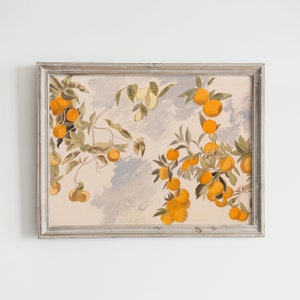 Orange Trees Print | Citrus Wall Art | Vintage Fruit Wall Art | Botanical Wall Art | Neutral Wall Art | Orange Illustration Wall Art