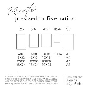 Siegfried c. 1921 / Thomas Heine Arte mural vintage de carlinos / Perros en pinturas de bellas artes / Obra de arte alemana vintage / Impresión de bellas artes imagen 9