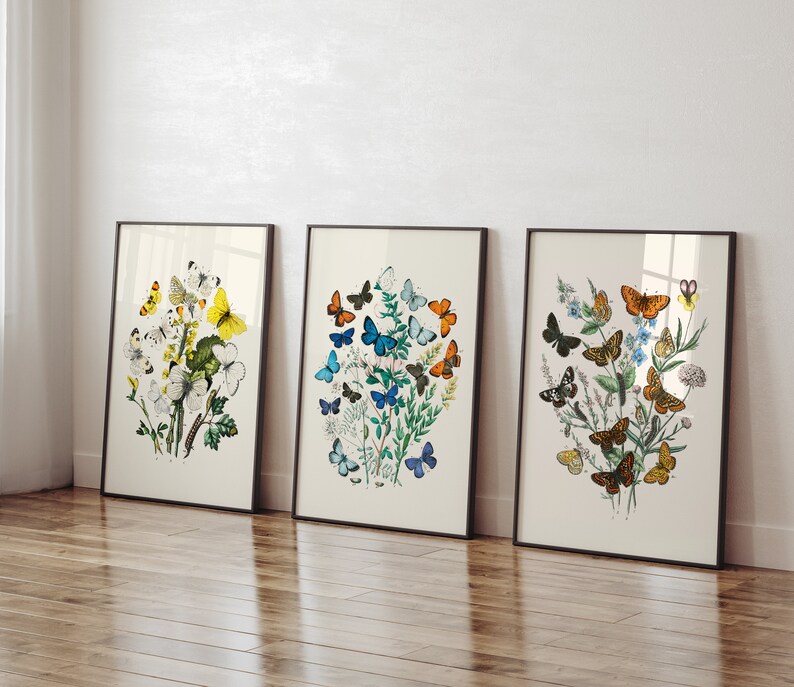Vintage Butterfly Wall Art Set of 3 Botanical Wall Art Vintage Wall Art
