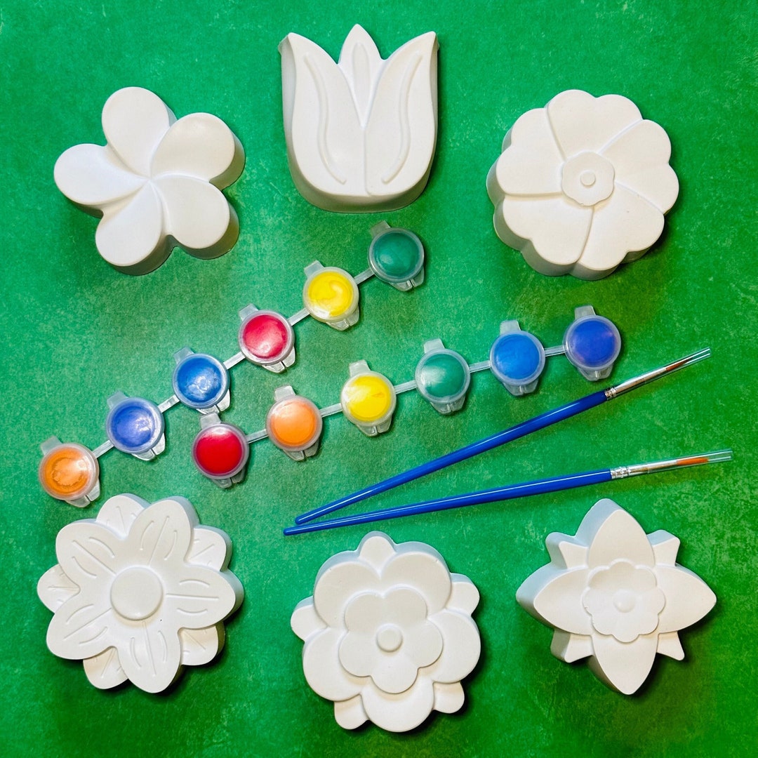 Flower Plaster Craft Kit Set of 6 Crafts Includes Paint Pods Etsy