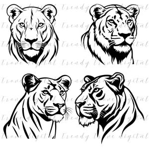 Lioness SVG