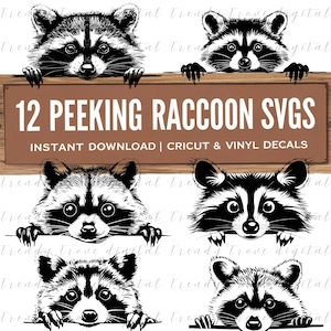 Peeking Raccoon SVG, Woodland Animal Clipart, Raccoon Decal PNG, Funny Raccoon Face, Vinyl Sticker Design, Cricut Cut File, Instant Download