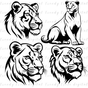 Lioness SVG