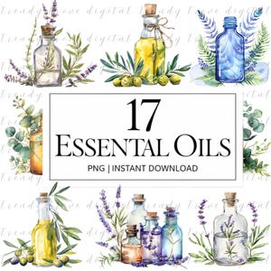 Óleos Essenciais Clipart, Garrafas de Óleo de Aquarela PNG, Aromaterapia Clipart, Óleo de Ervas PNG, Garrafa de Boticário, Botânico, Cricut, Sublimação