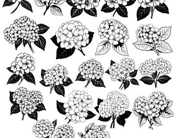 Hydrangea SVG Bundle: Floral Cut Files, Botanical Clipart (Digital Download)