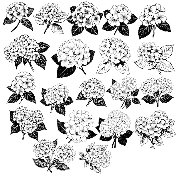 Blooming Hydrangea SVG Bundle, Set of 20 Floral Clipart and Cut Files for Cricut, Silhouette, and Crafting Projects