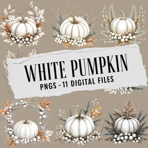 White Pumpkin PNG Bundle: Fall Farmhouse Clipart (Digital Download)