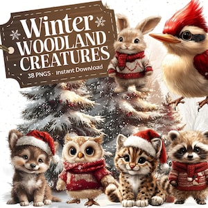Winter Woodland Creatures PNG, schattige bosdieren clipart, kerst dierenillustraties, bosrijke babyshower decor, kinderkamer kunst