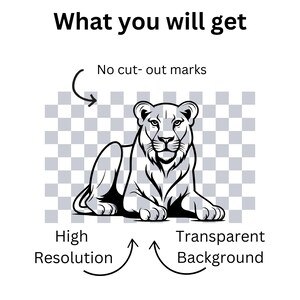 May include: A black and white line drawing of a lioness sitting on a transparent background. The image is high resolution and has no cut-out marks.