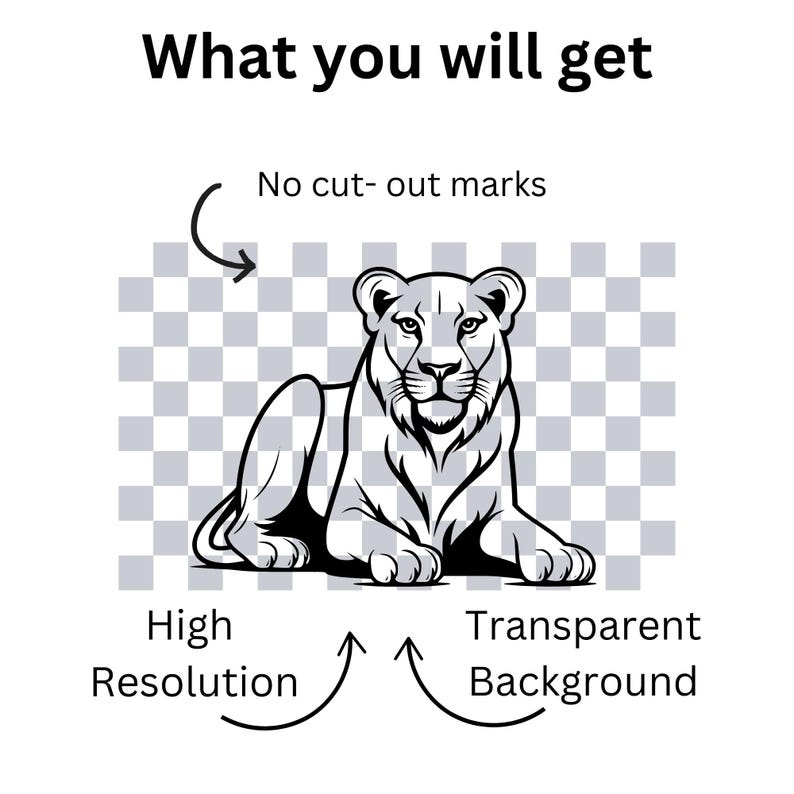 May include: A black and white line drawing of a lioness sitting on a transparent background. The image is high resolution and has no cut-out marks.