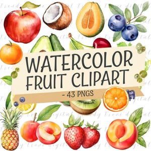 Clipart di frutta ad acquerello PNG, illustrazioni di frutta tropicale, clipart di agrumi e bacche, frutta fresca di fattoria PNG, grafica alimentare trasparente